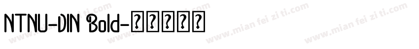 NTNU-DIN Bold字体转换